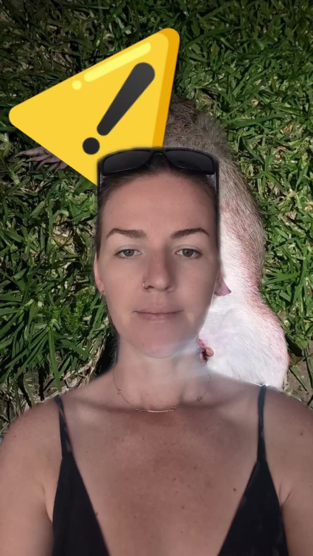 @Janelle Olivia - TasWild