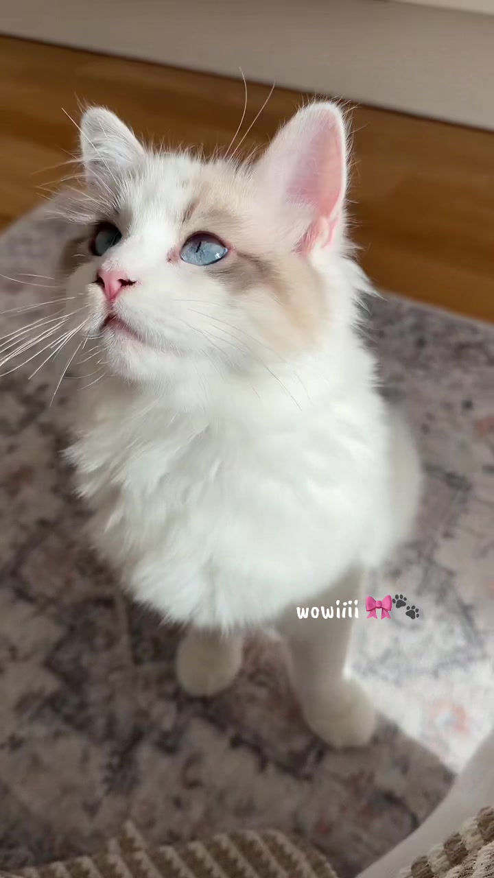 @𝐒𝐀𝐑𝐀𝐇 𝐒𝐎𝐏𝐇𝐈𝐄 🦋
