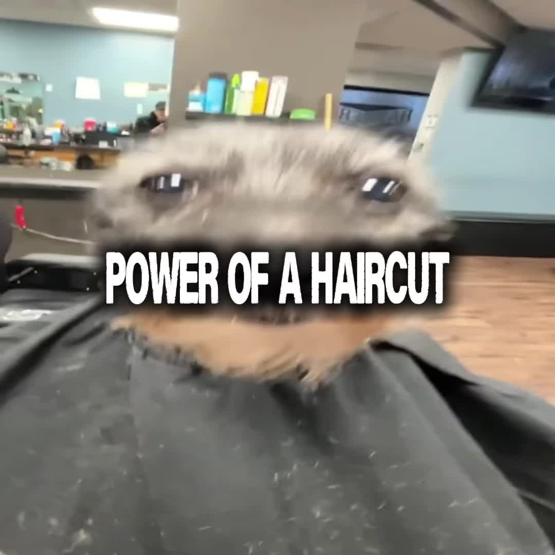 @𝘉𝘢𝘳𝘳𝘺