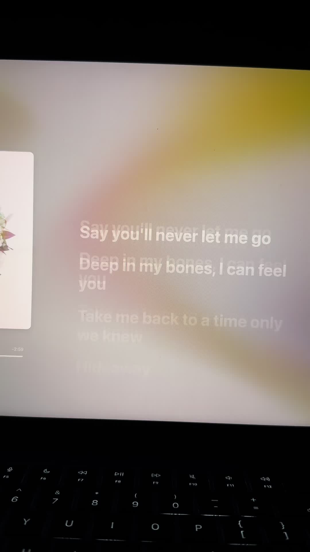 @lyricszn
