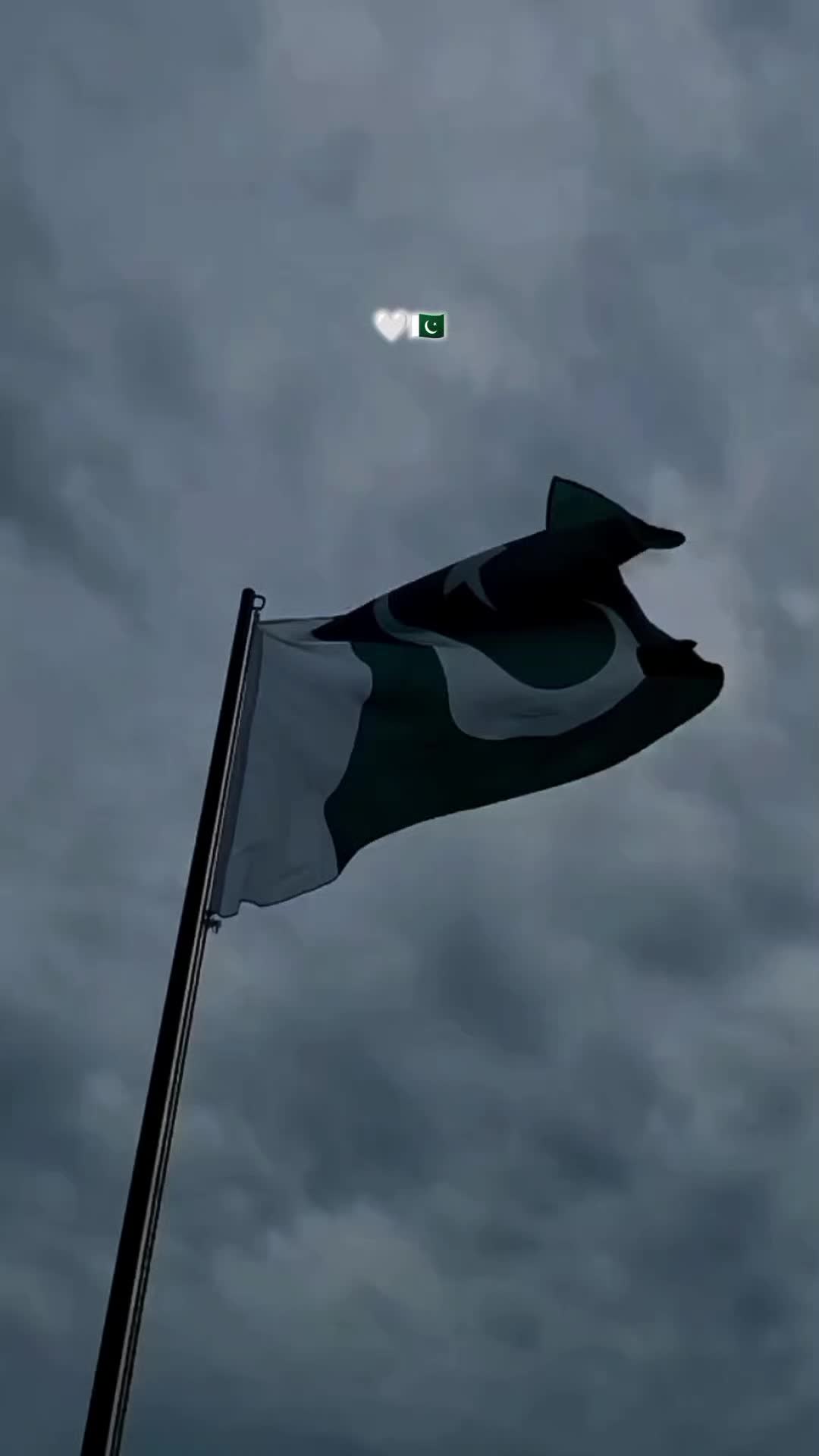@ℍ𝕒𝕞𝕫𝕒❤🩹