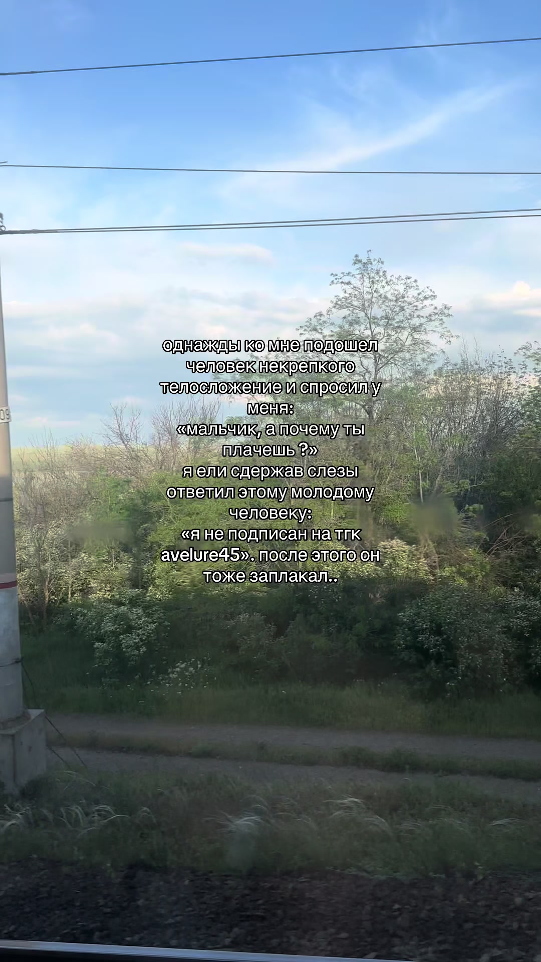 @ТГК: avelure45