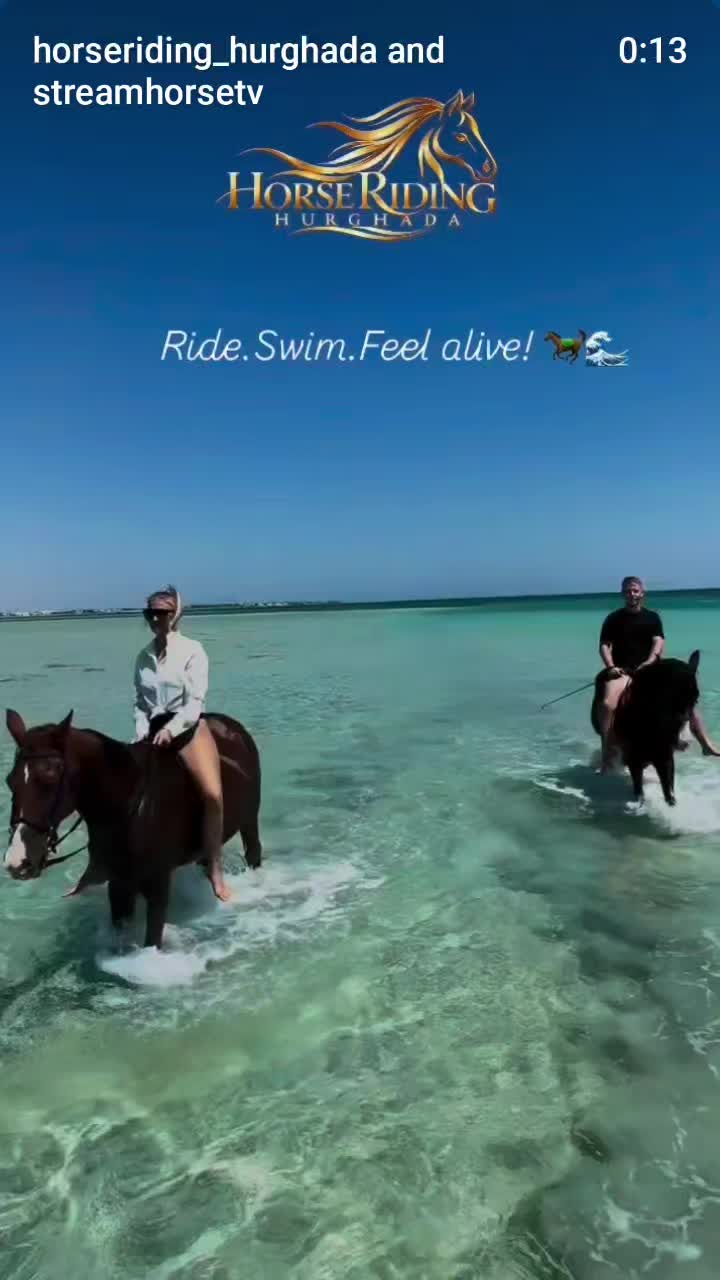 @streamhorse