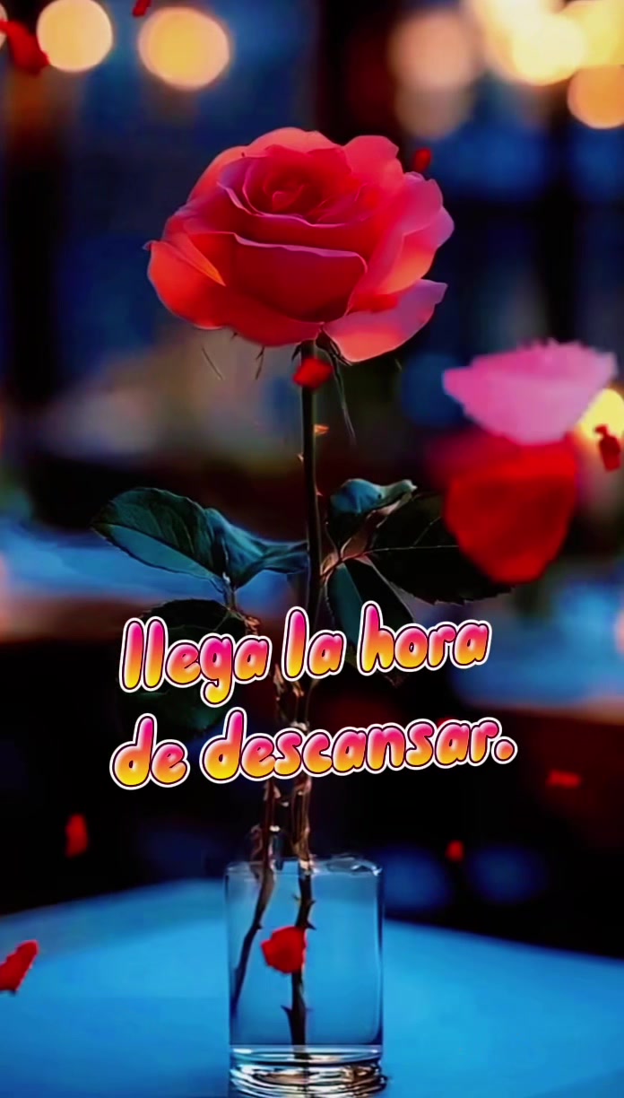 @Palomalucia_24 Cuenta Oficial