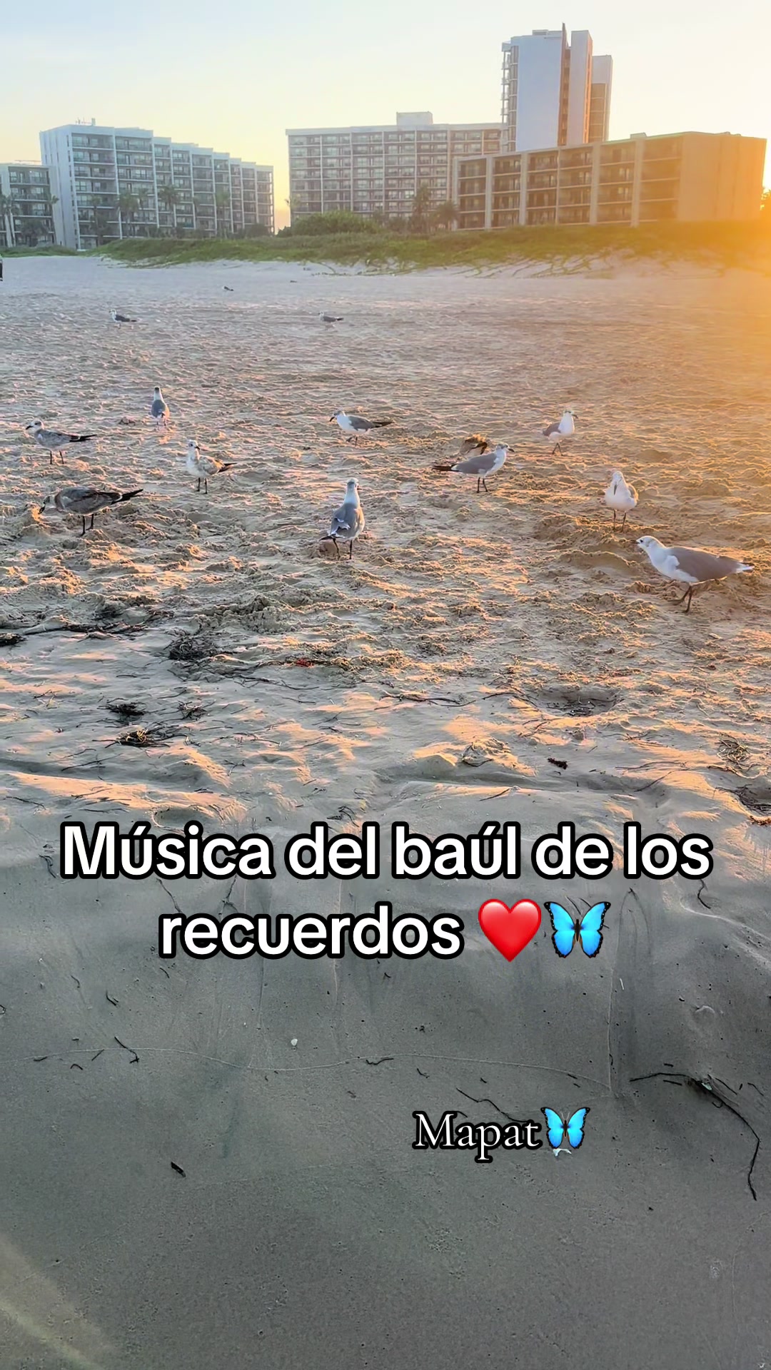 @Martha P. Betancourt Hern&aacute;ndez