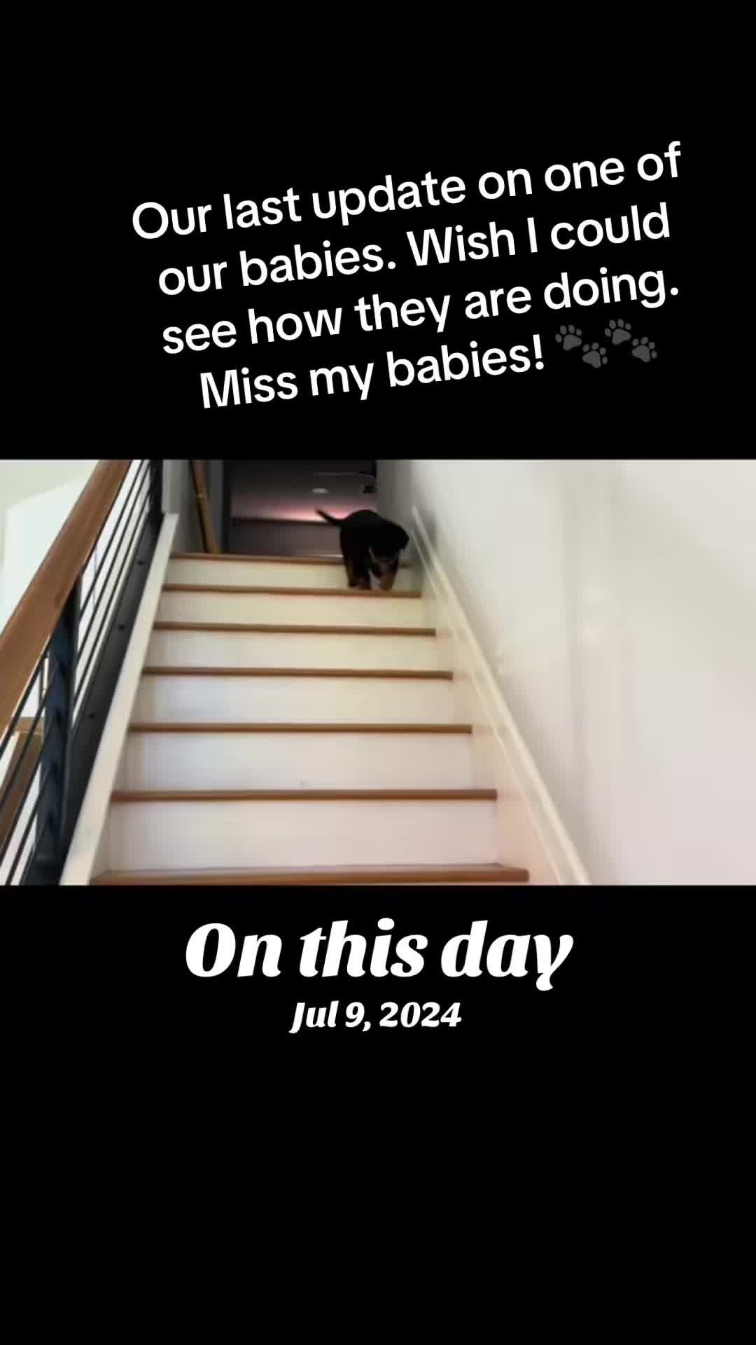 @marinfamily4428