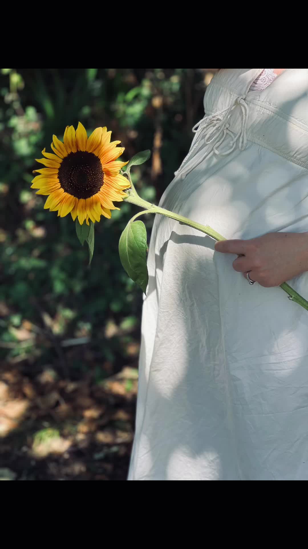 @fearbán flowers ☘️