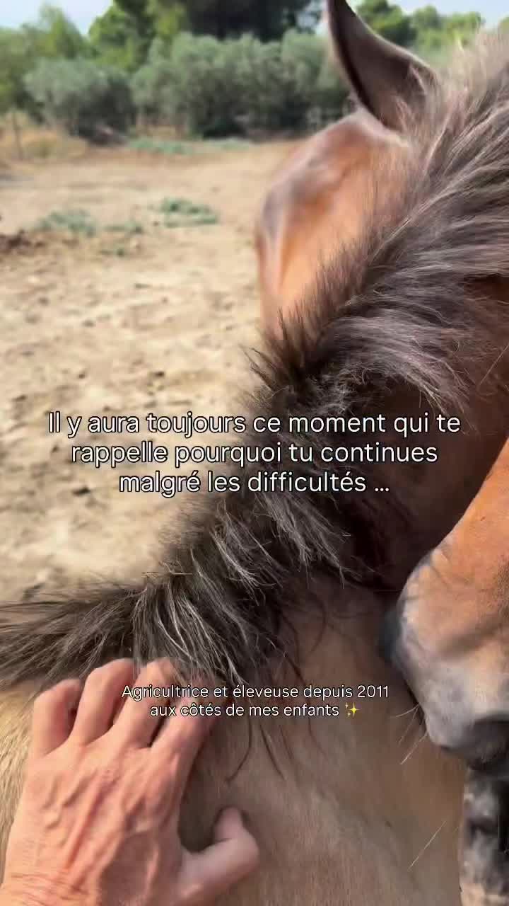 @LA PANTA Horse Ethic Ranch