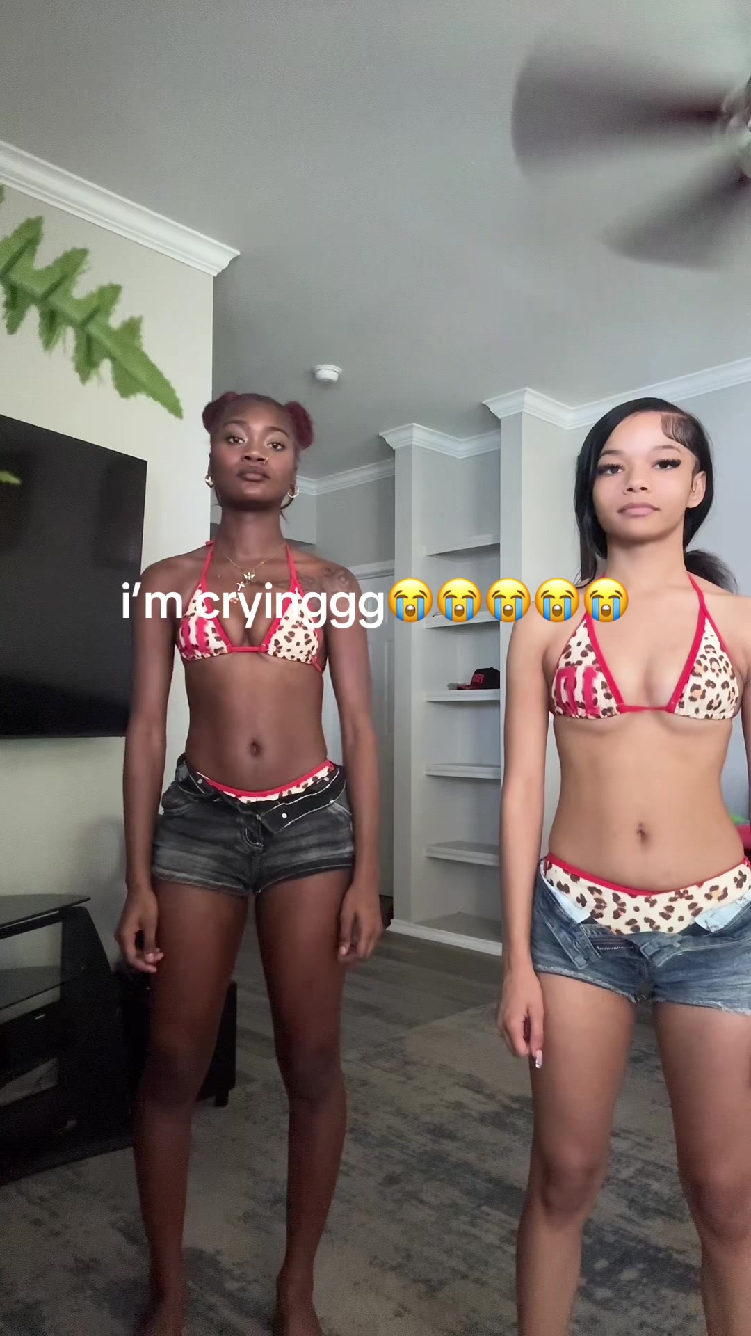 @megistie 💐