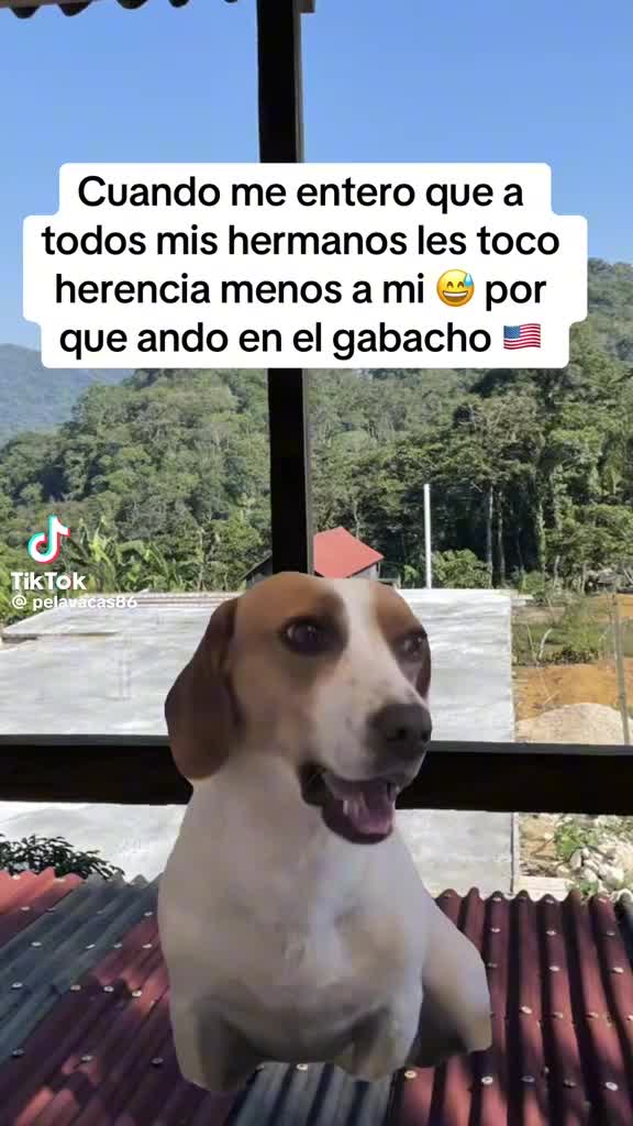 @Alexander✅️