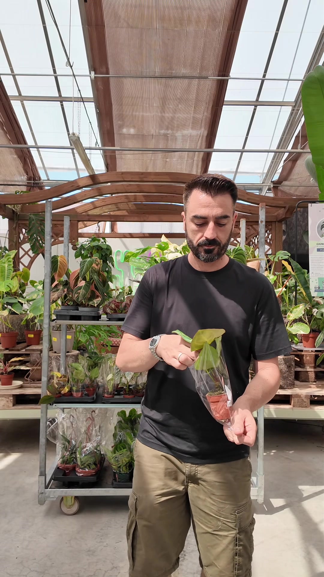 @Garden Center Brioli