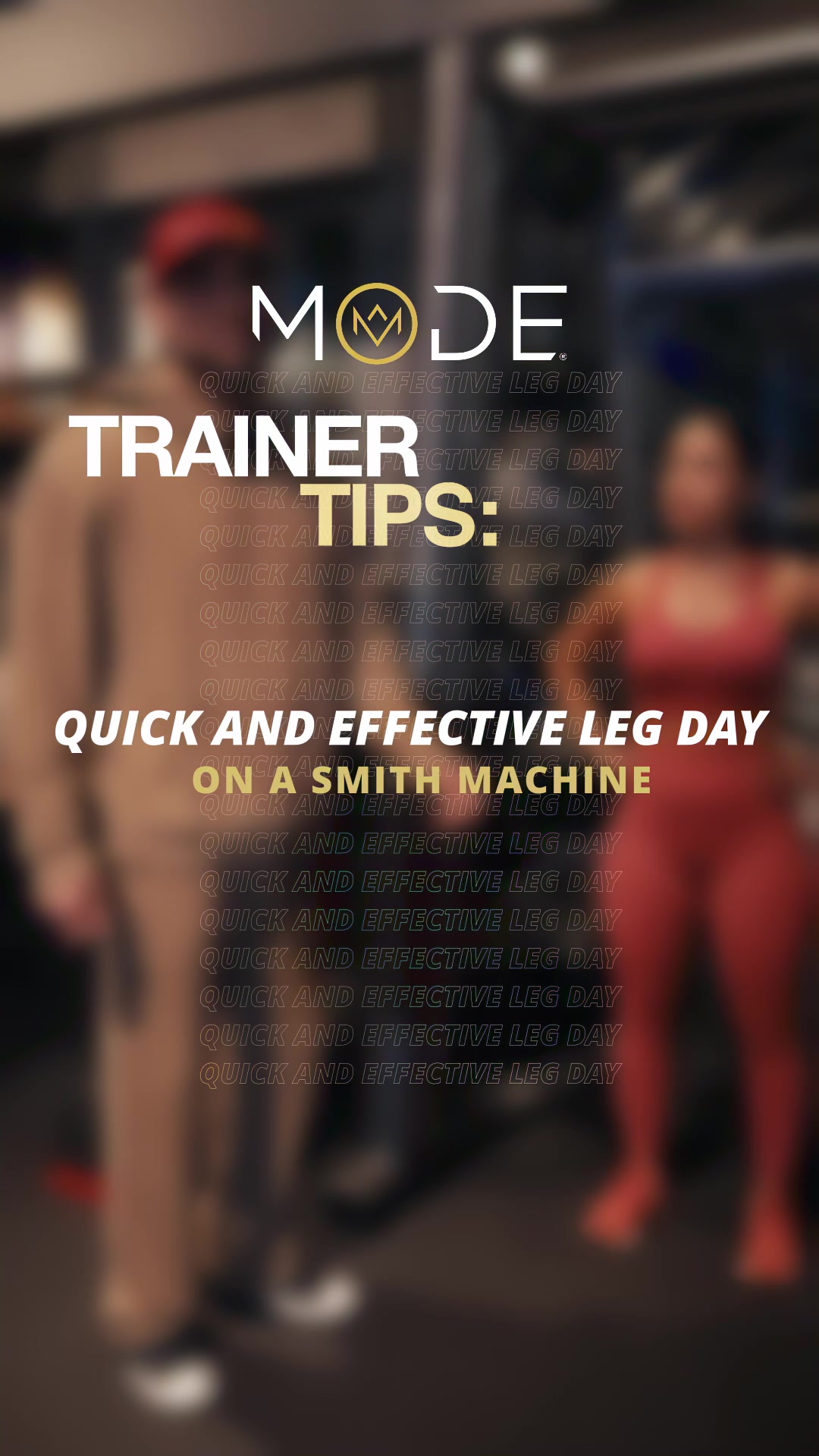 @MODE Gym
