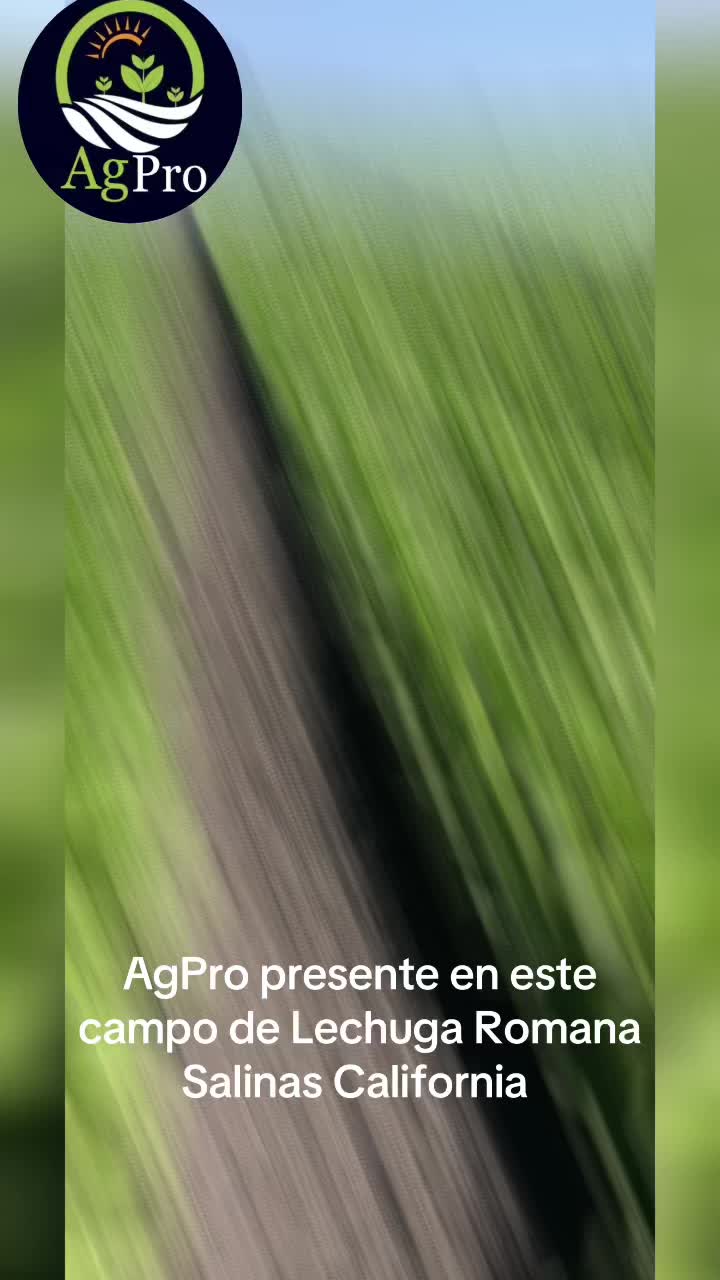 @Piedad Ayala