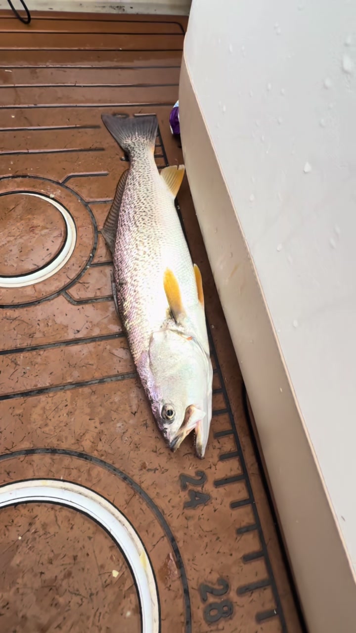 @Tacklepusher