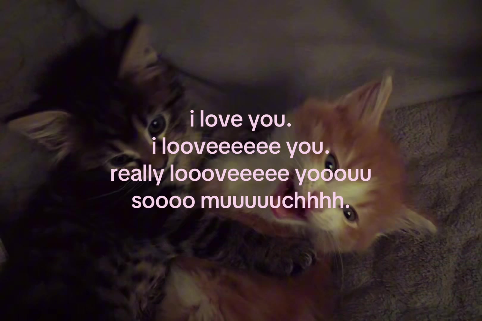 @sxalenz