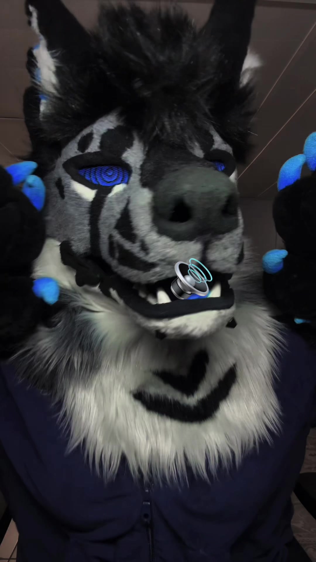 @sonar_hyena_shark