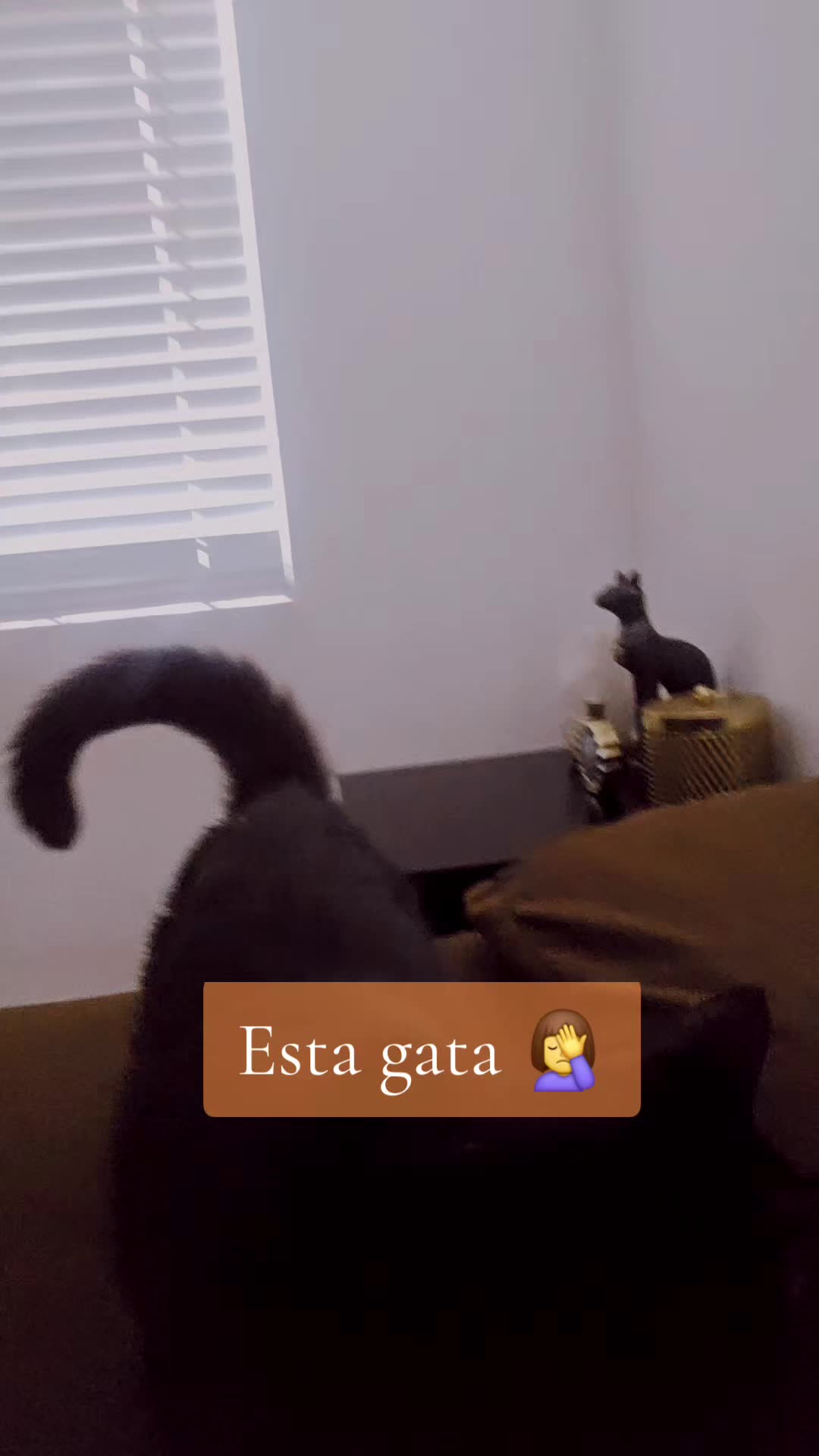@🇺🇾🧡Vivi🧡🇺🇾