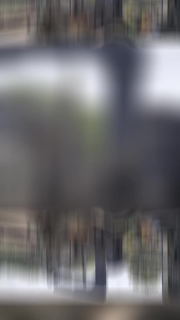 @BigRigger16
