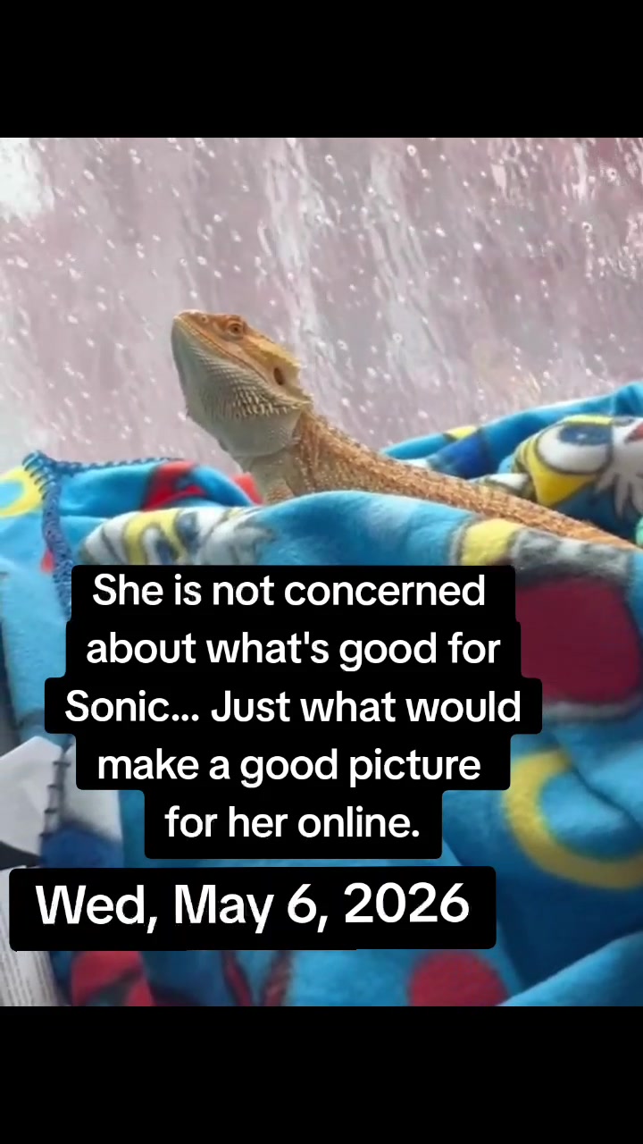 @LivingLifeUnhinged🤦♀️