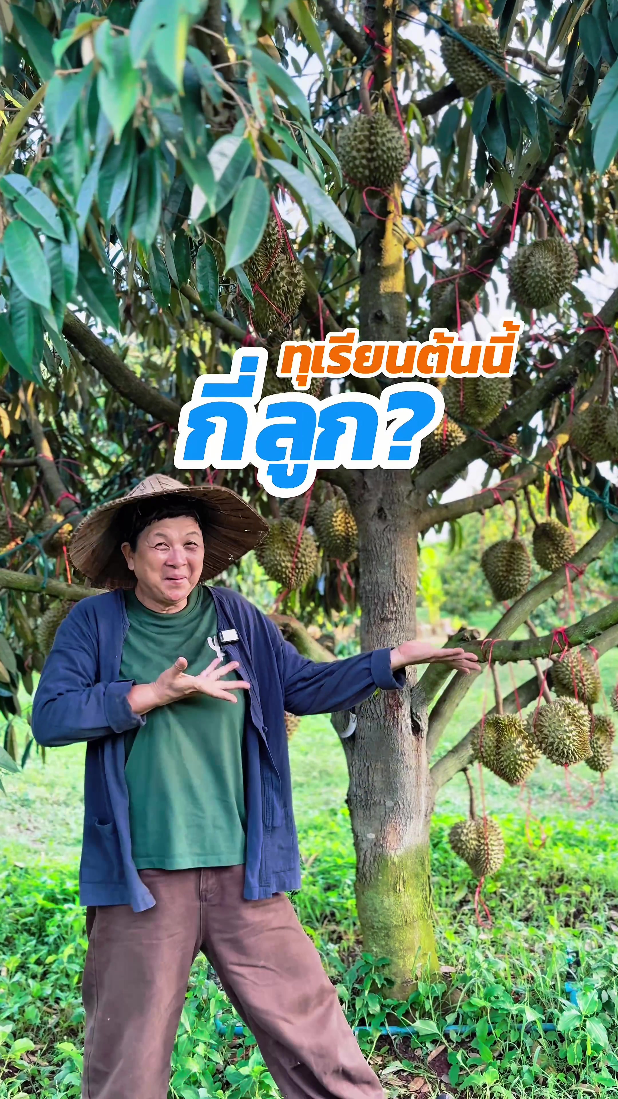 @ไร่วันยังขำ Oneyoungkham farm