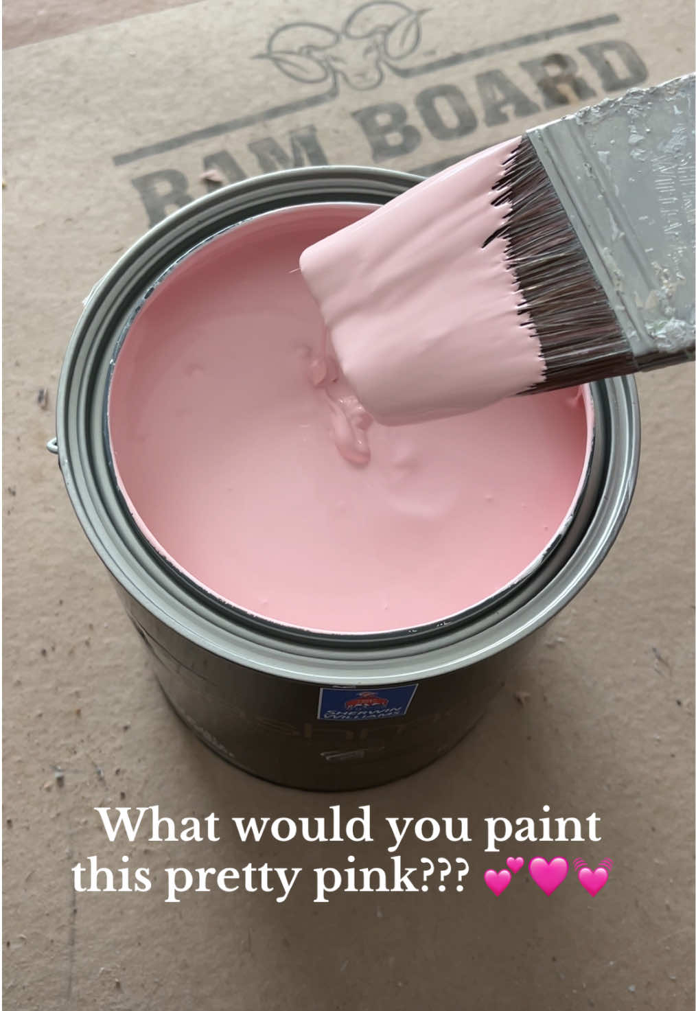 @Megan&rsquo;s Paintings 🖌️