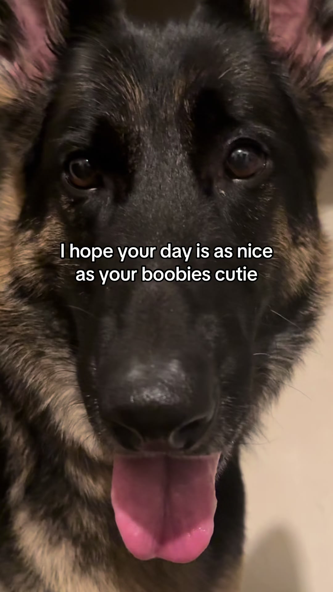 @Bhris