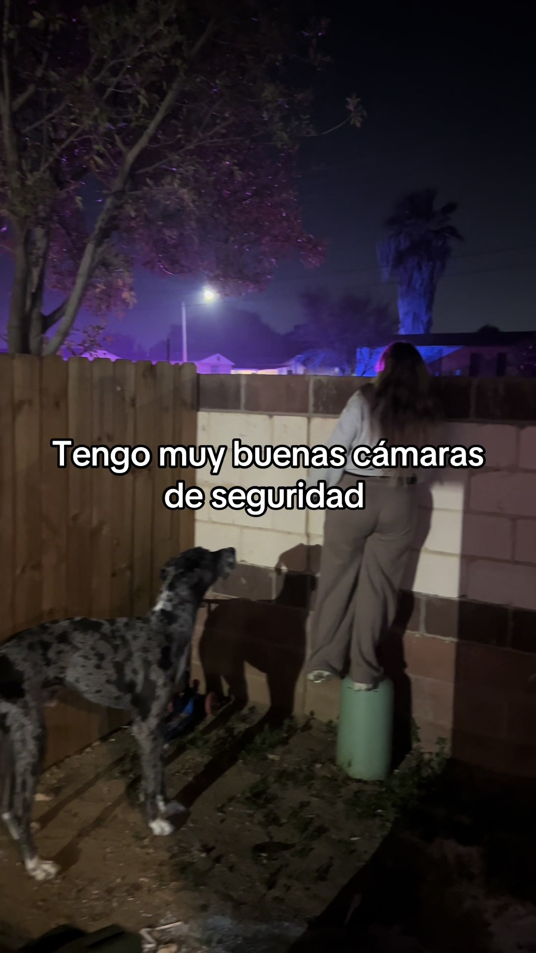 @Chivo_pacas