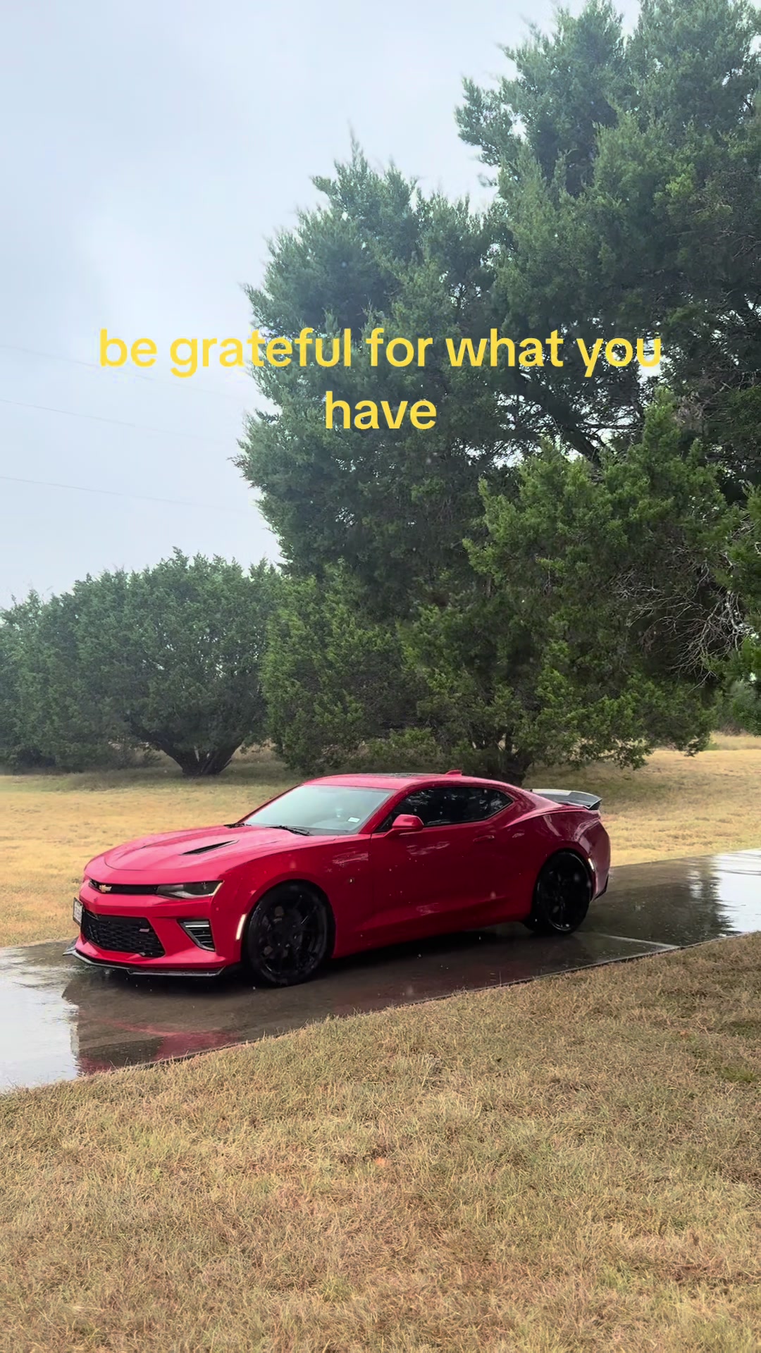 @lt1_dyl