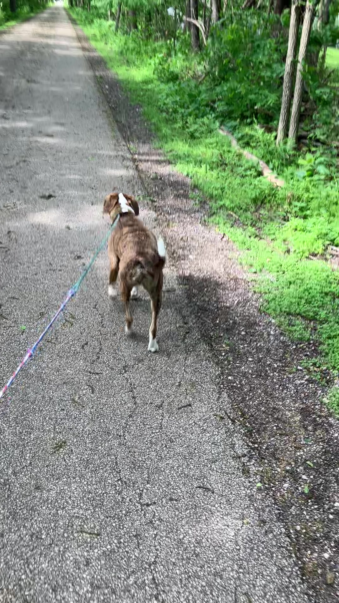 @Hikingwithstanley