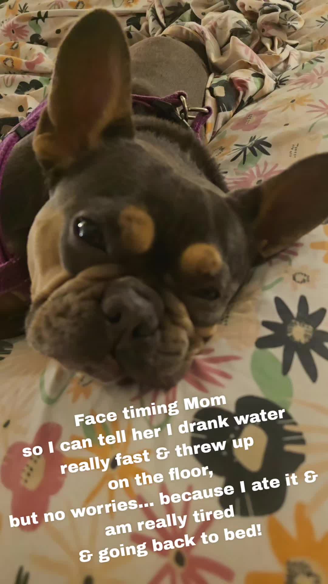 @Tina