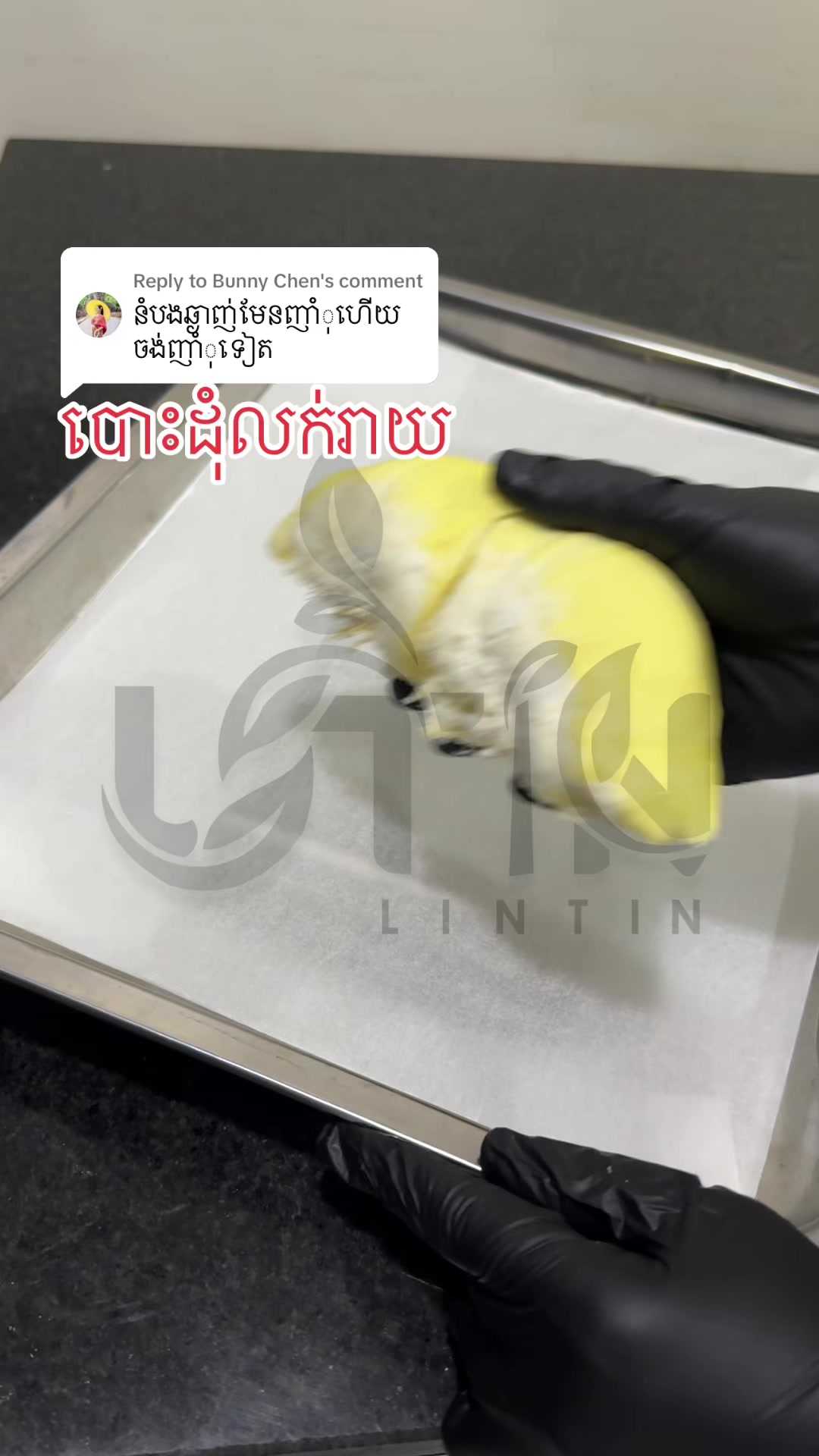@LINTINលីនទីន