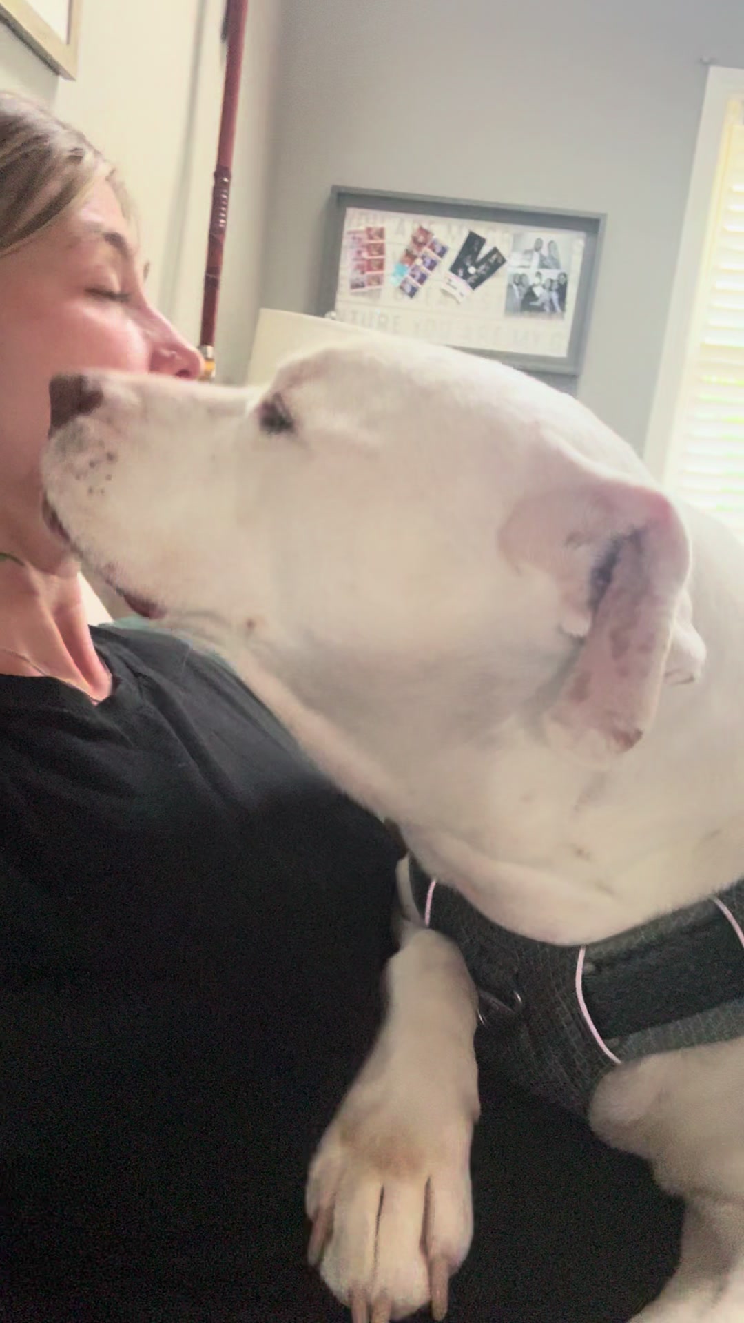 @DIOJI.the.DOG