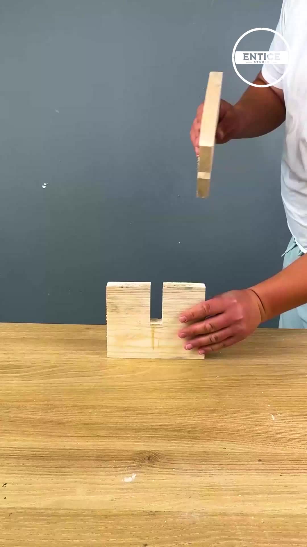 @theenticestudio
