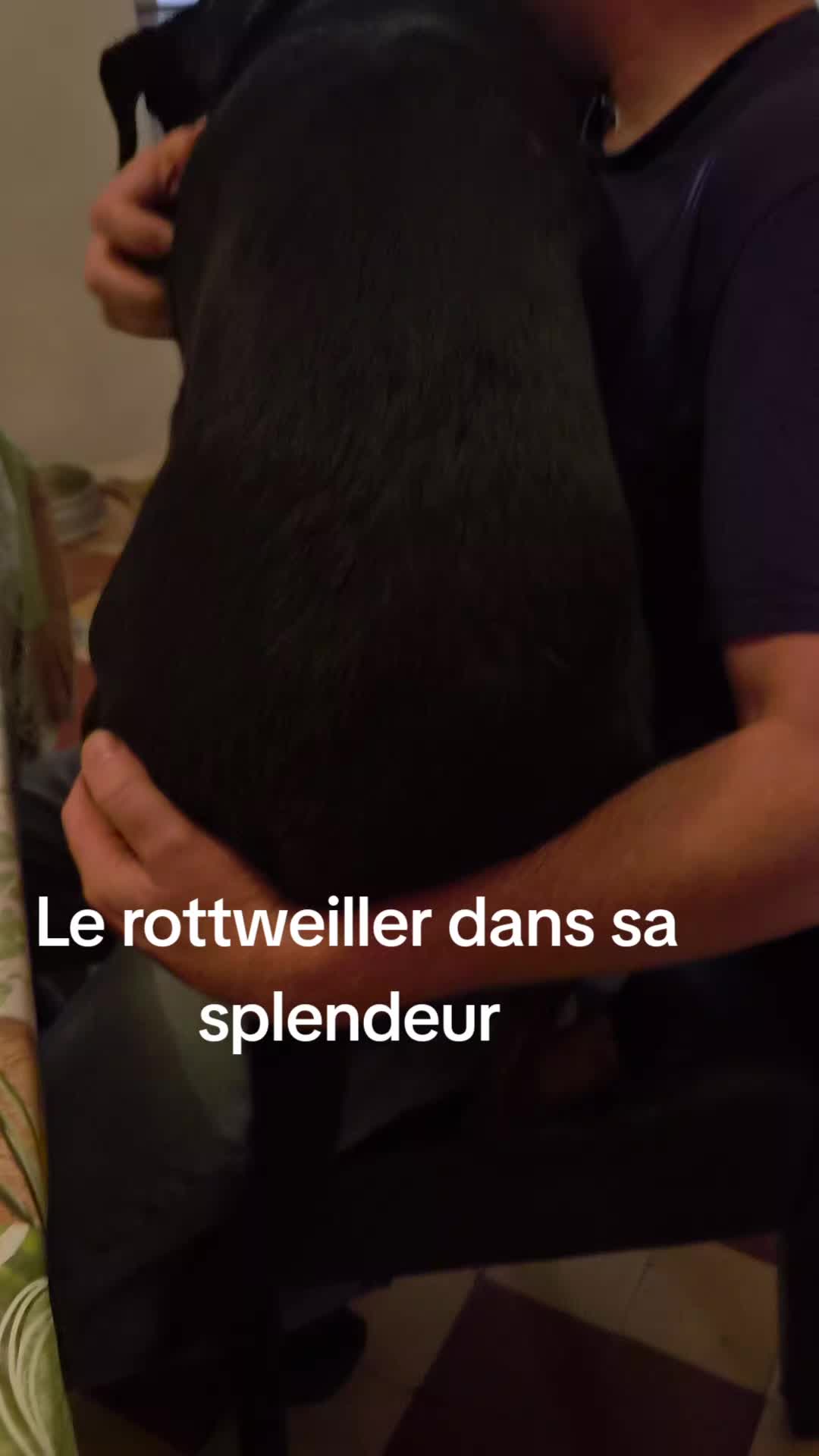 @Jennifer Deleflie