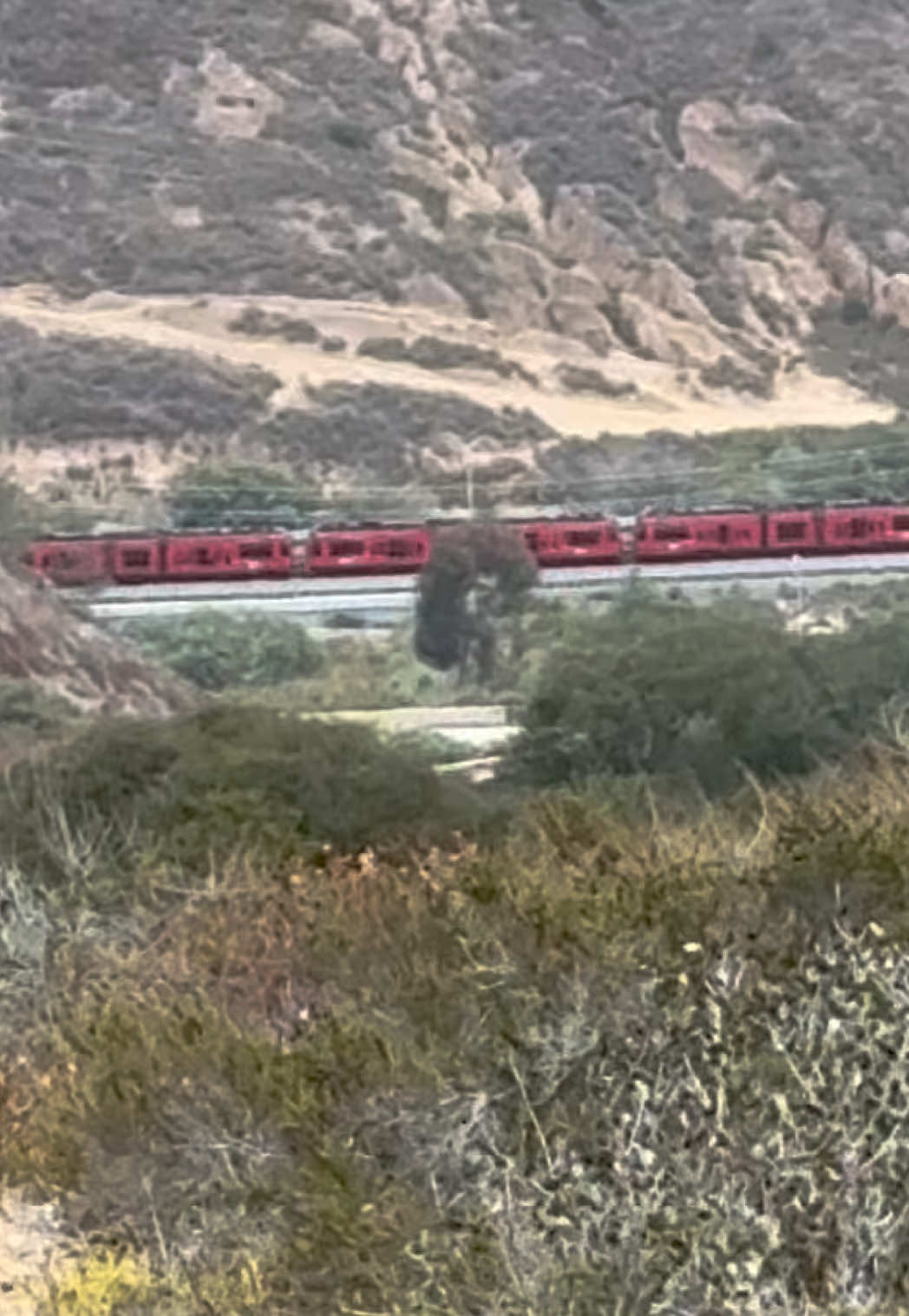@ShinyRailsLover