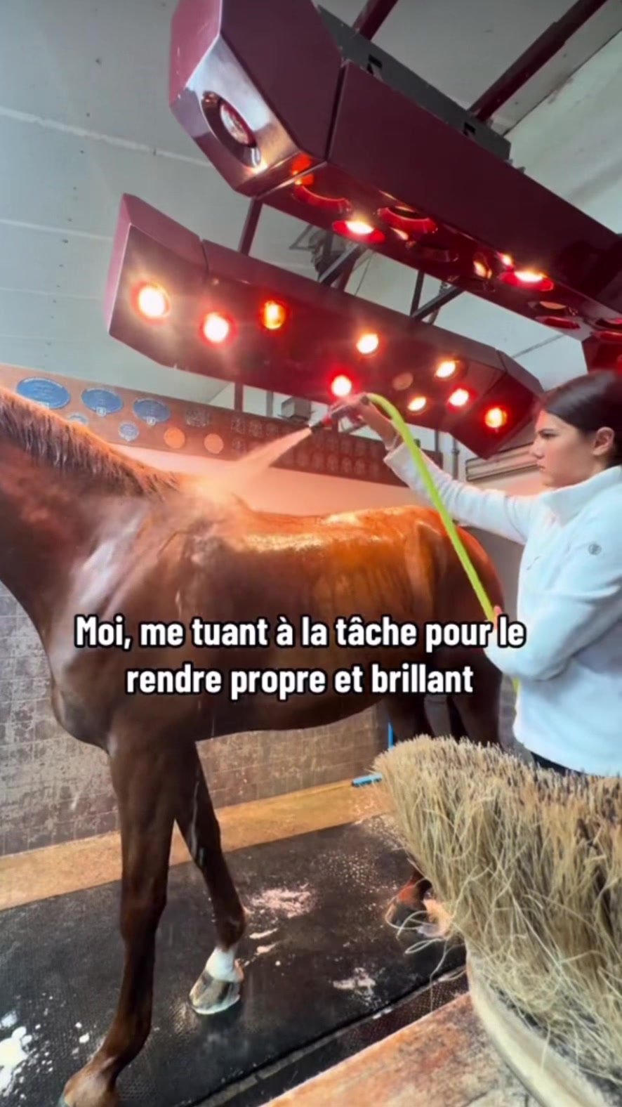 @lea.cavaliere