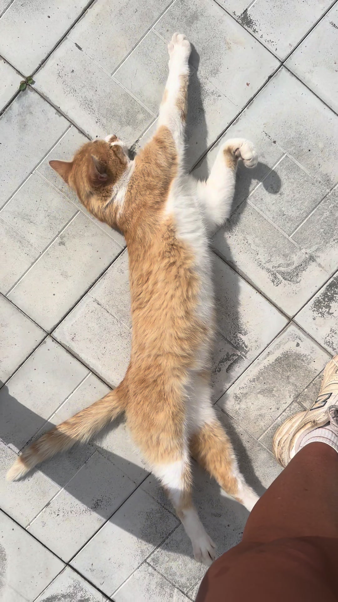@Марина Геннадьевна