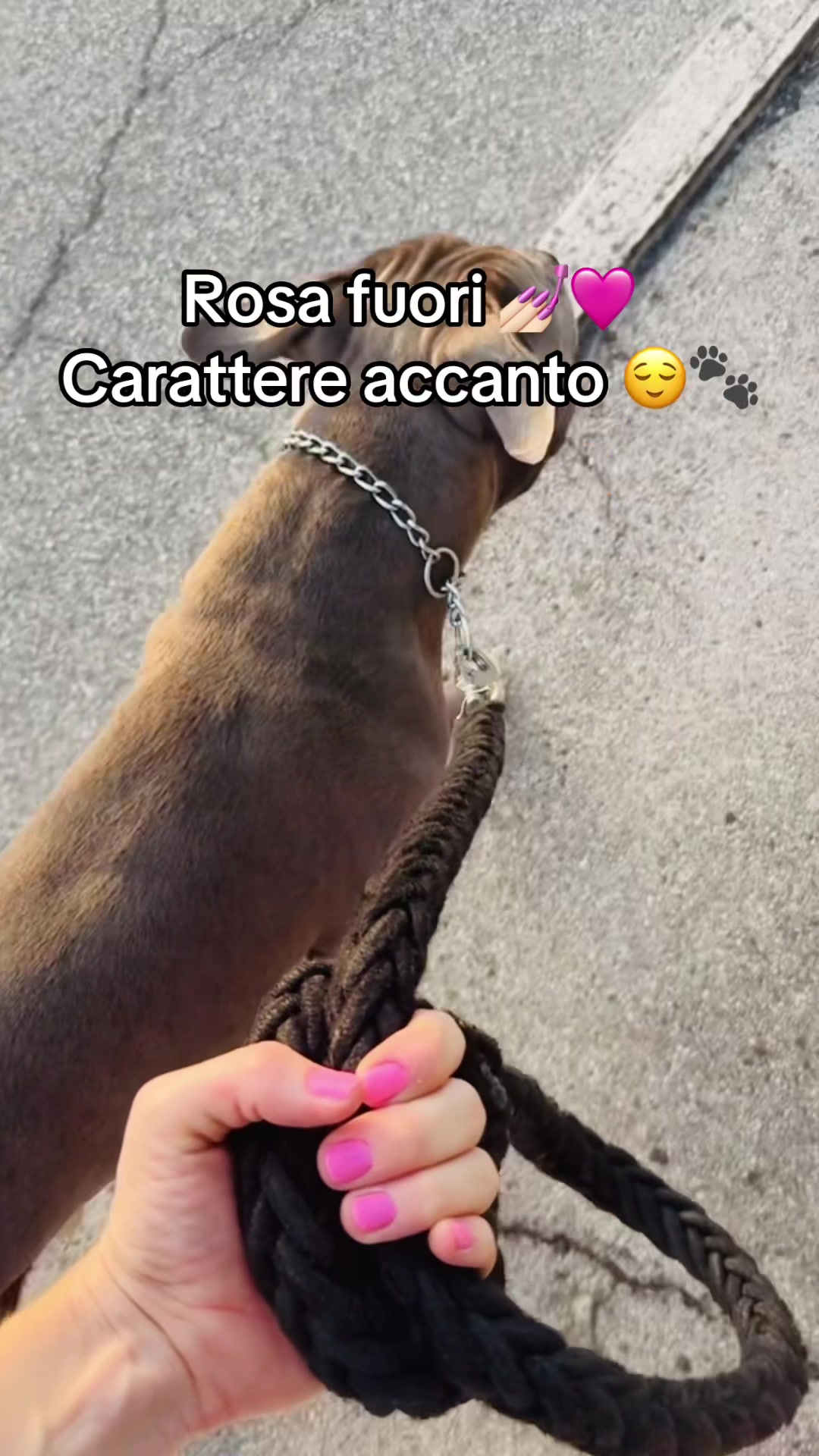 @brinaherambo🍒