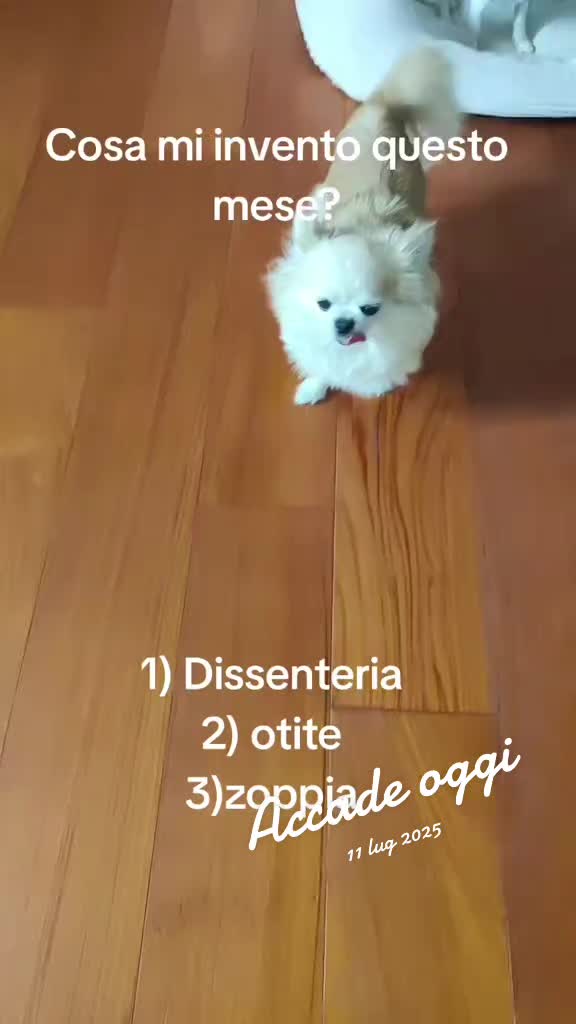 @Anna 🏳️&zwj;⚧️🏳️&zwj;⚧️