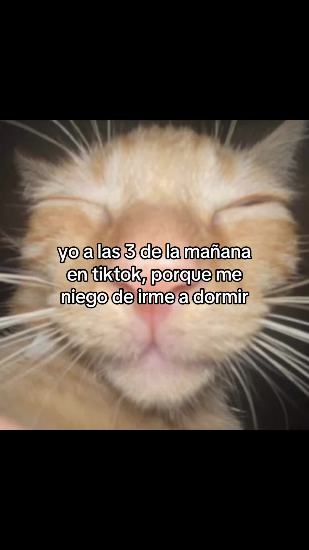 @_panino7🦅