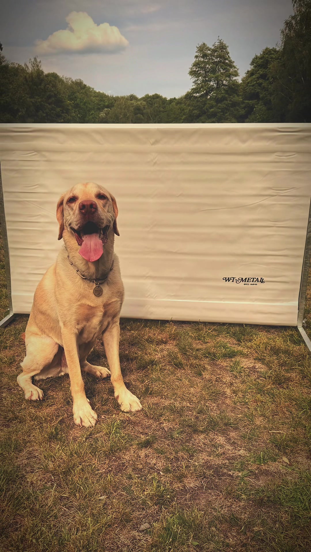 @harzerhunde