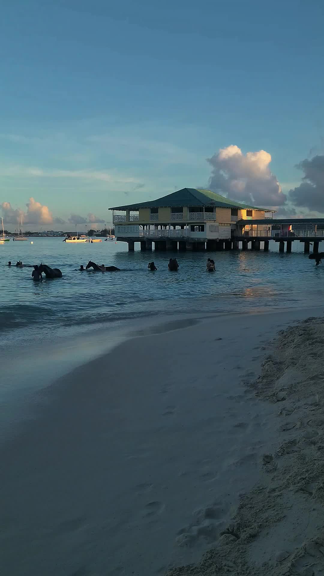 @Bajan Lifestyles