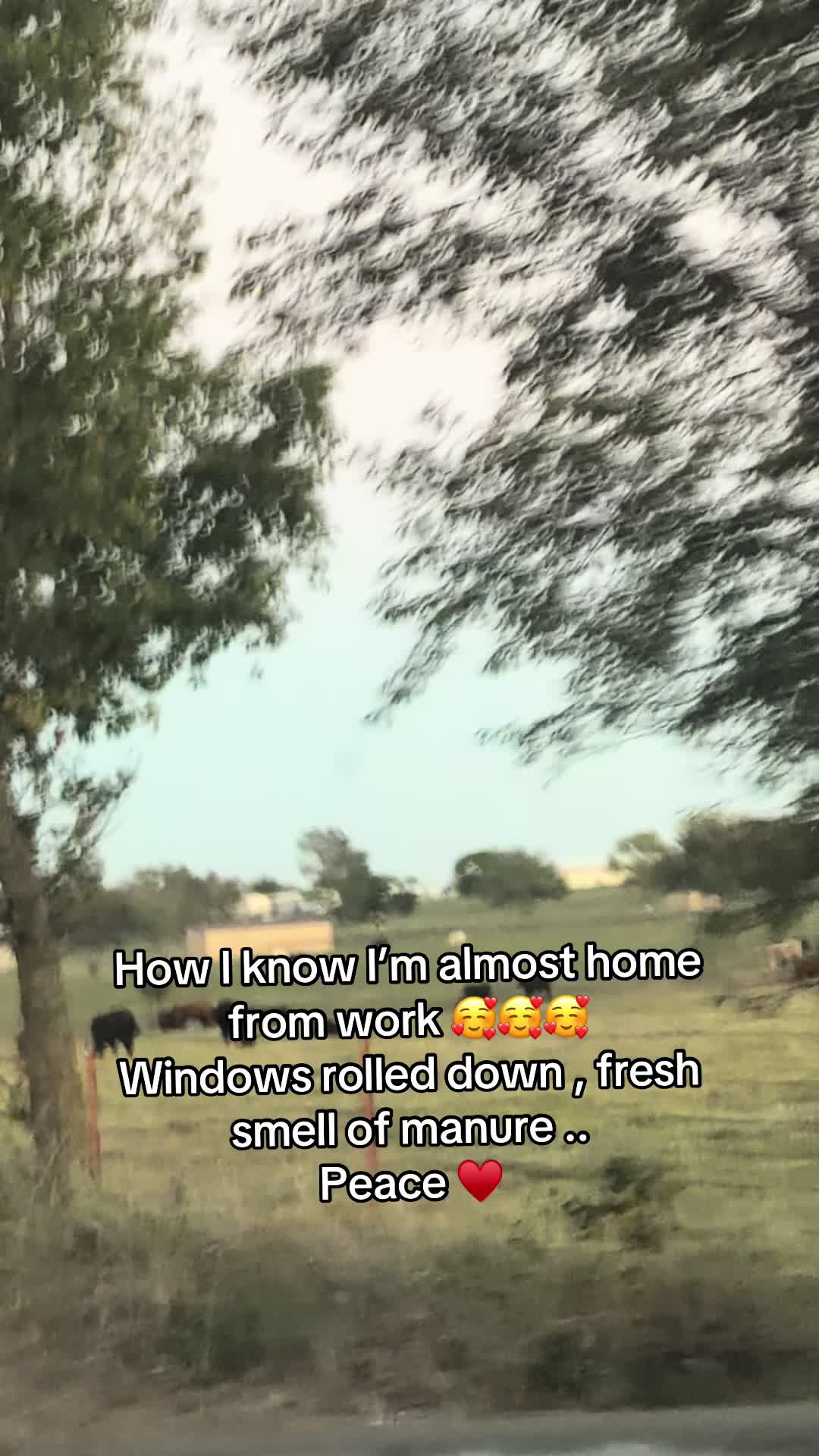 @NonniesFunnyFarm