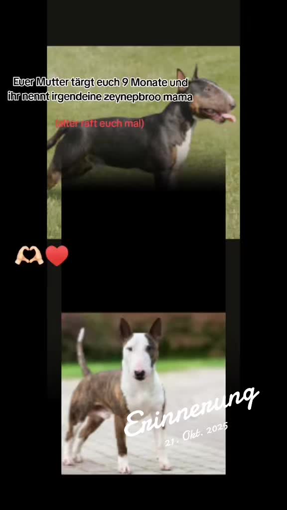 @♡𝕶𝖆𝖙𝖏𝖆 𝕶𝖆𝖚𝖑𝖎𝖙𝖟♡︎