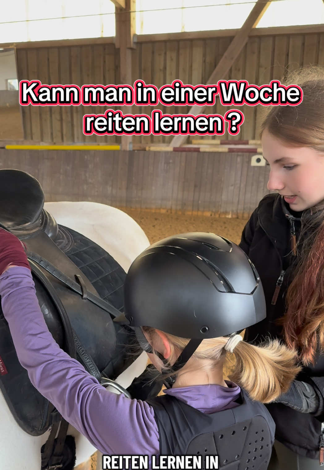 @Sophia &bull; SL Reitschule