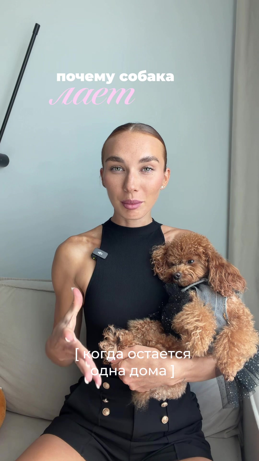 @beatrice_poodle
