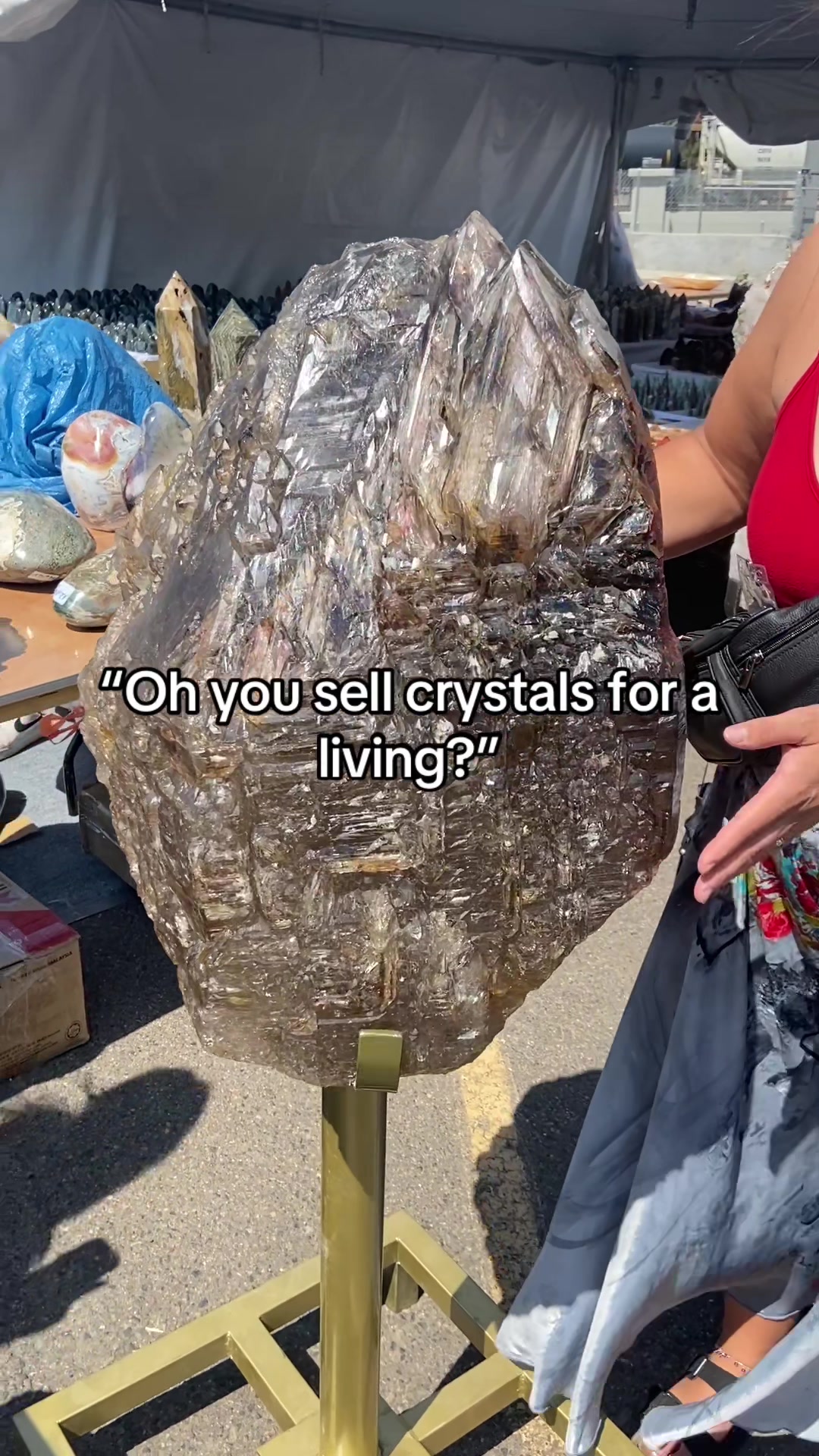 @🔮CrystalPacifica🔮