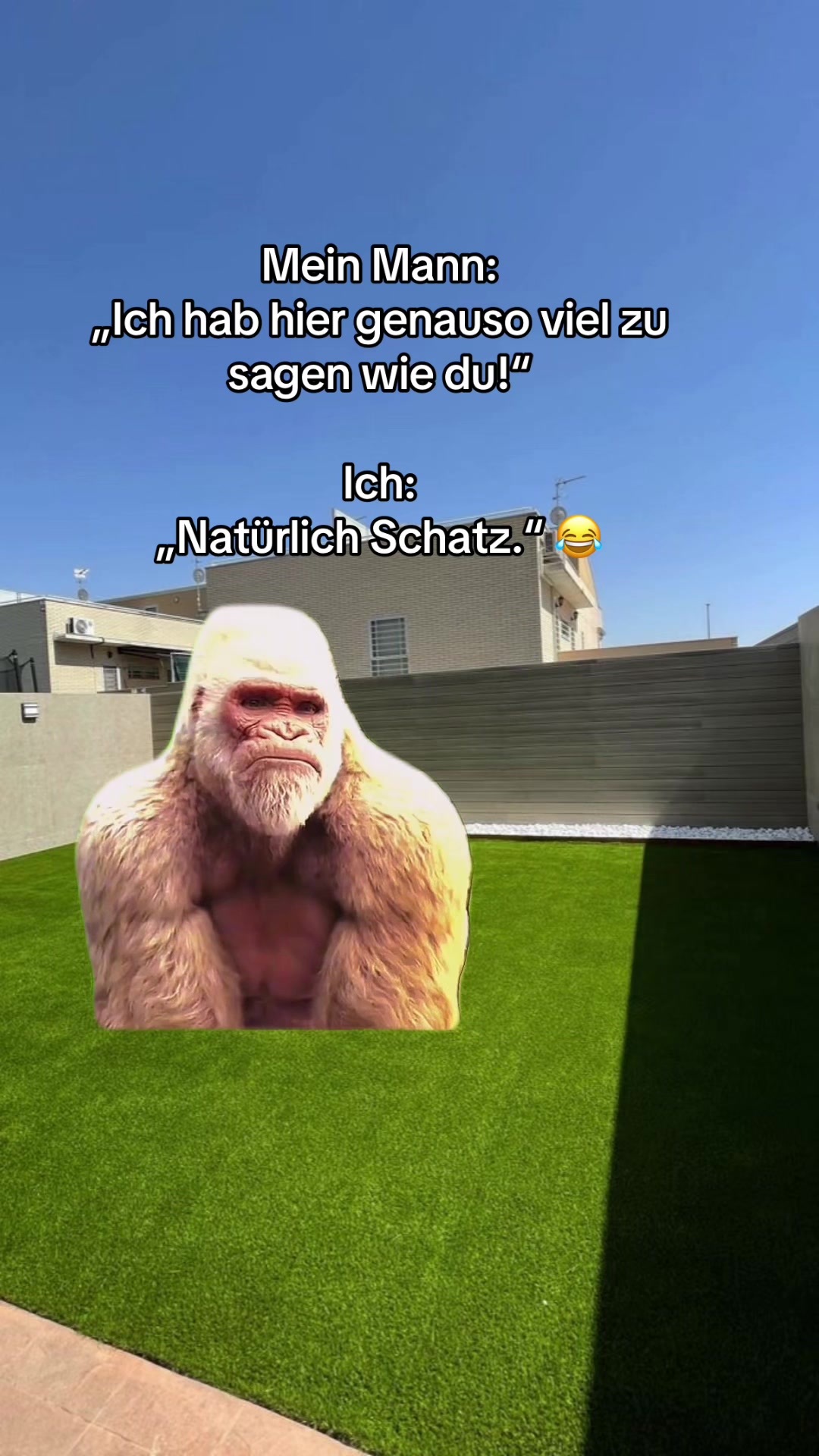 @mauskontert