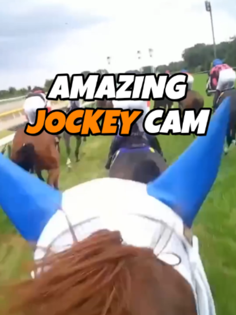 @simplypatrick