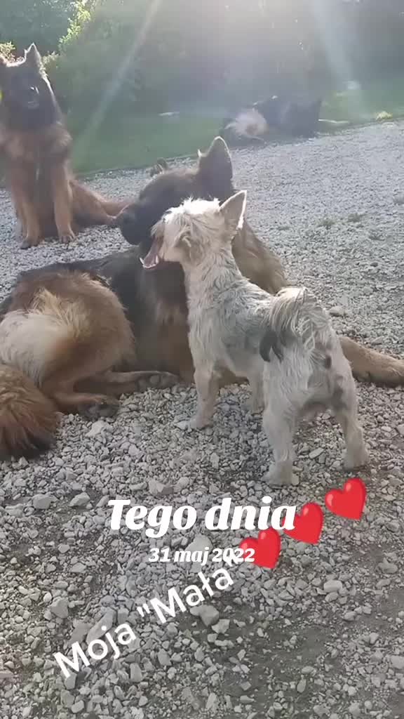 @Jadźka555🙈🙈🙈